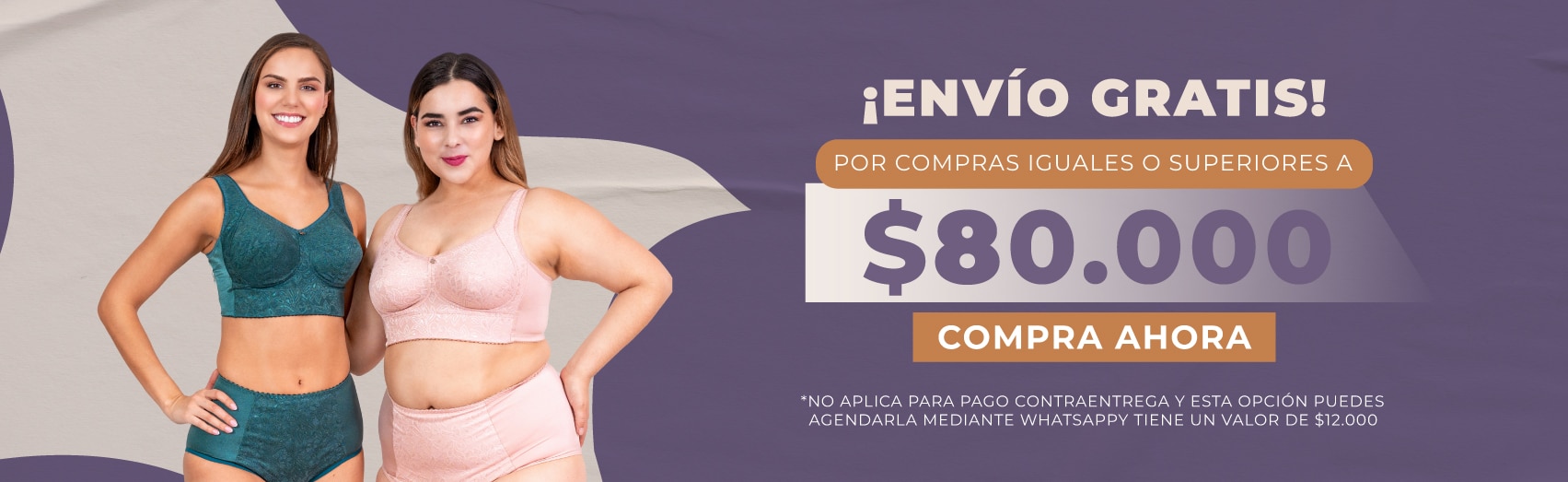 Banner envío gratis