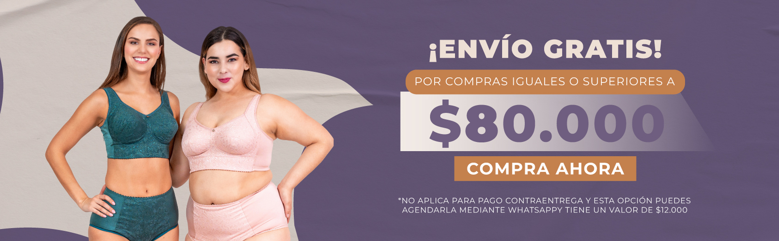 Banner envio gratis 2560x794