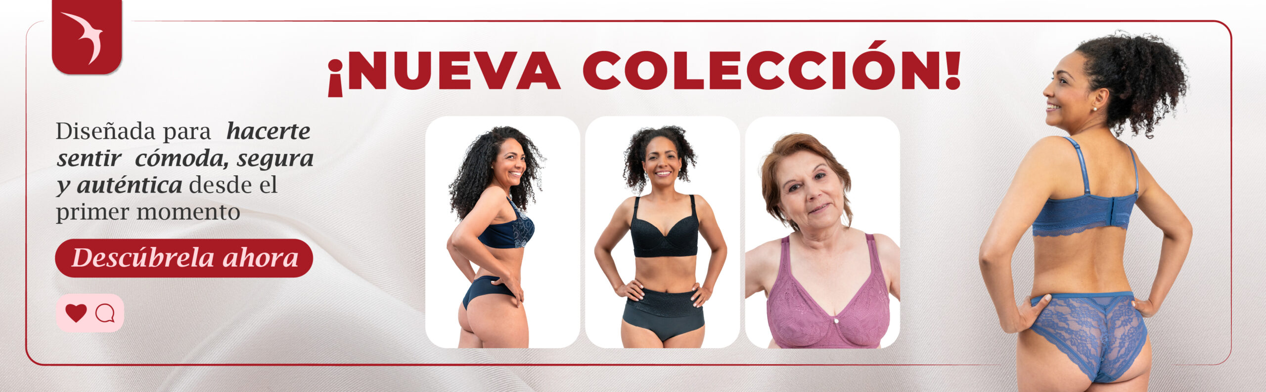 banner nueva